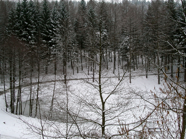 PICT0715