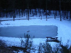 PICT0686