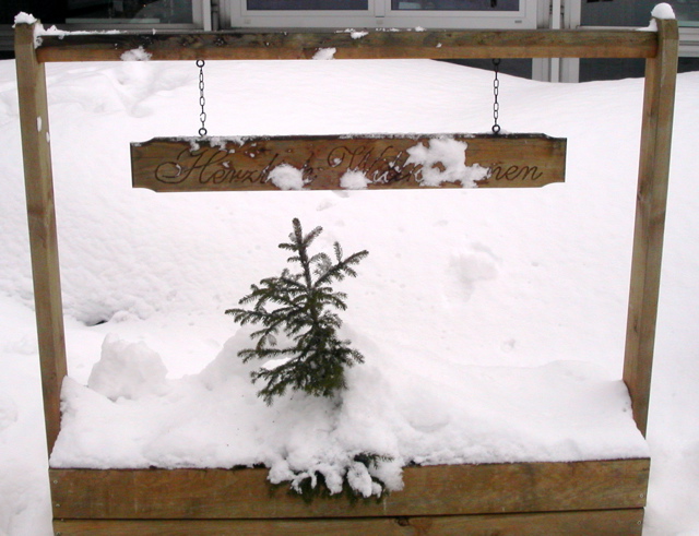 PICT0003.JPG
