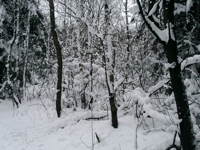 PICT0064