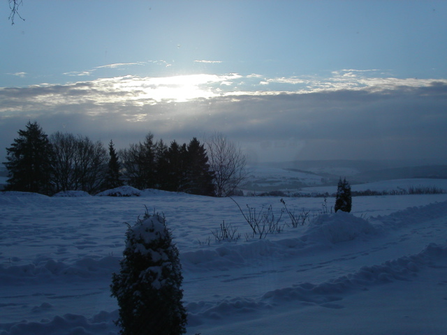 PICT0007