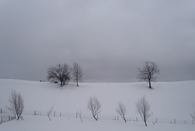 PICT0067