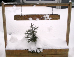 PICT0003.JPG