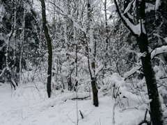 PICT0064