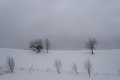 PICT0067