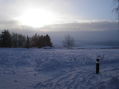 PICT0010
